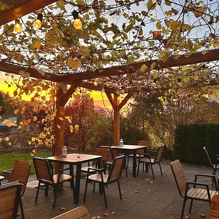 Хостел Marmota *