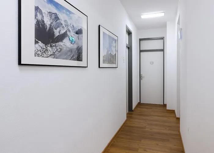 Marmota אינסברוק