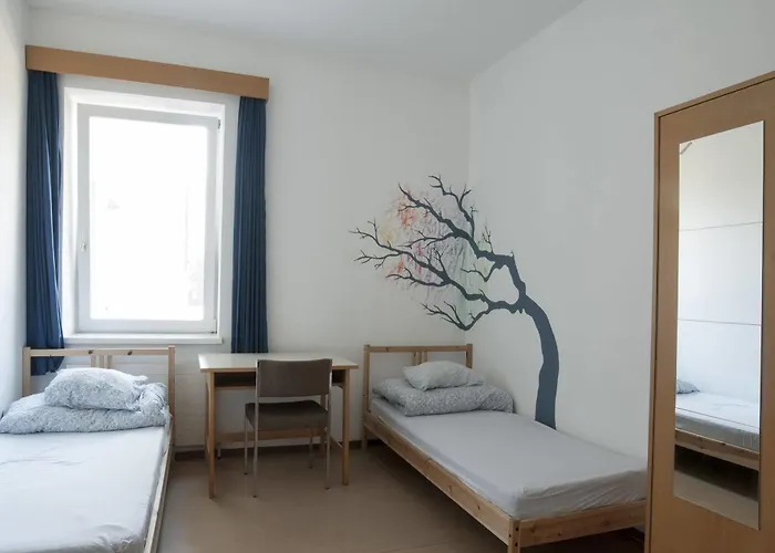 אכסניה Marmota *