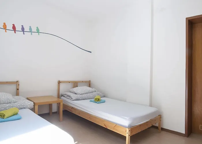 Marmota * אינסברוק